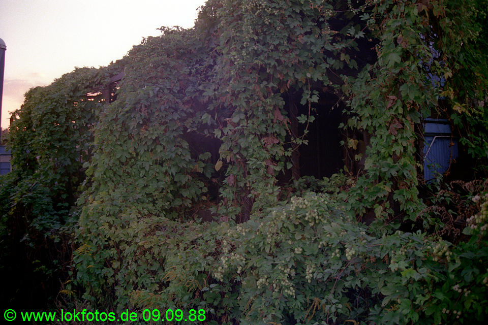 Foto 09066